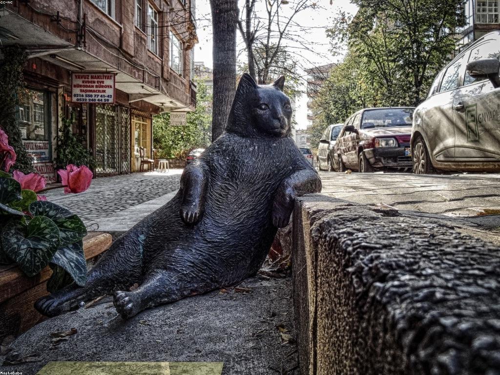 ការកែលម្អបទពិសោធន៍សមាជិក VIP